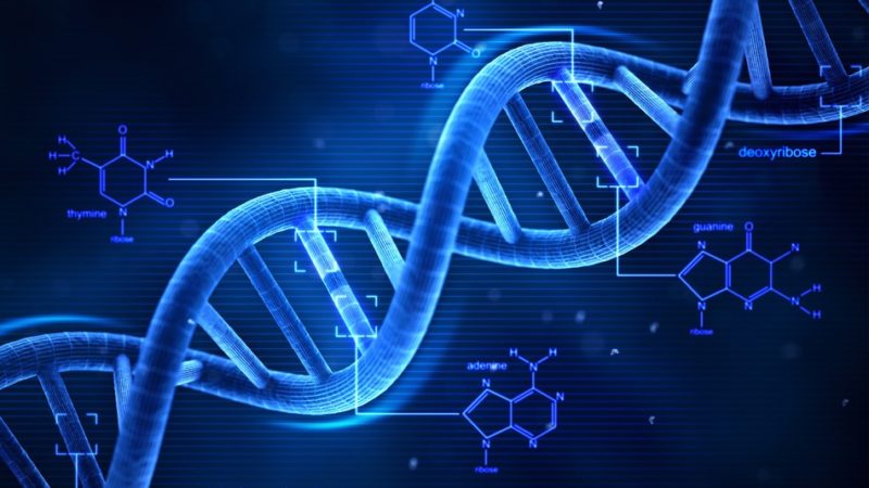 Bioenergy Healing Therapist - Medical Intuitive Biotherapy Healing Karmic DNA