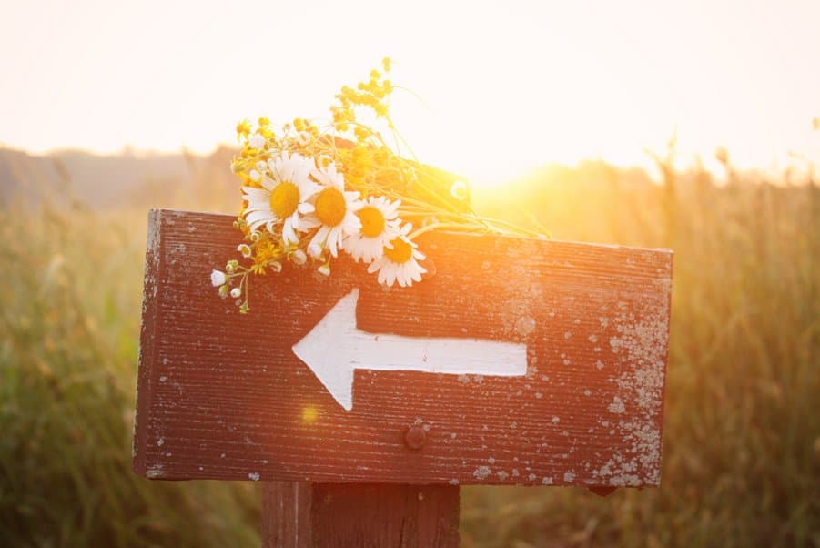 Psychic Lilly offers destiny and life path psychic readings for clarity, life purpose, and life, love, and career direction.