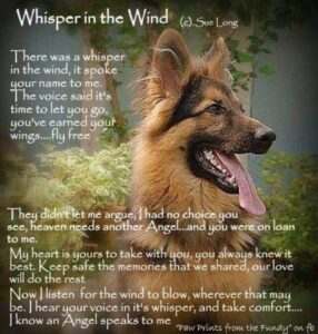 German Shepherd dog with poem Whisper in the Wind about pets after death German Shepherd dog with poem Whisper in the Wind about pets after death