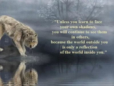 Wolf staring at reflection in water with message about facing shadows