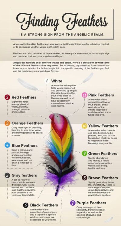 Infographic showing the meaning of angel feathers in different colors, symbolizing spiritual guidance and divine messages