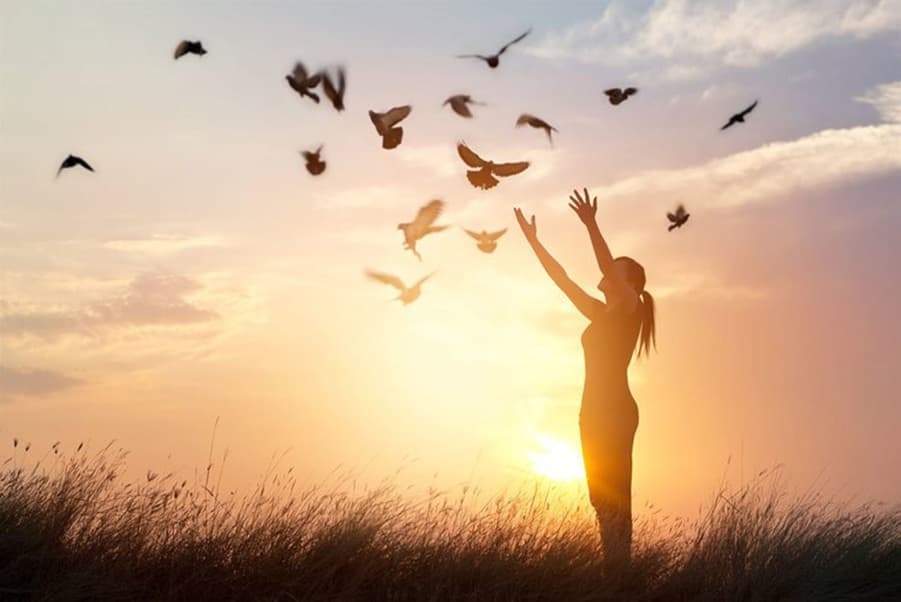 Silhouette of a woman releasing birds into the sunset sky symbolizing letting go, freedom, and emotional healing