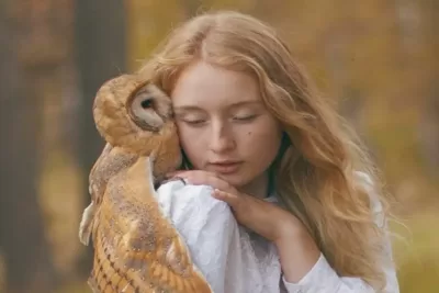 Meet Your Animal Spirit Guide