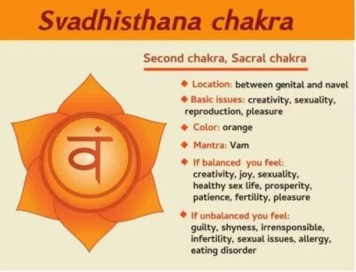 Svadhisthana chakra diagram showing emotional and reproductive healing qualities
