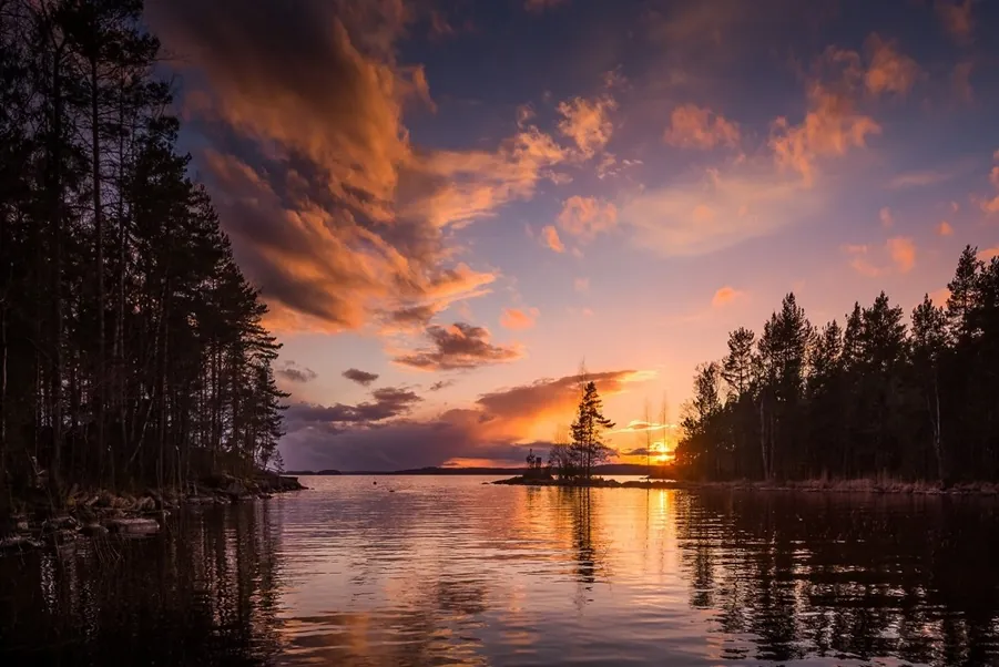 Psychic Readings in Mid-Michigan with Psychic Lilly