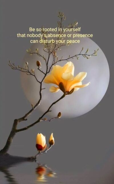 A blooming yellow magnolia flower on a branch with buds, reflected in still water with a large full moon in the background and text that reads, 