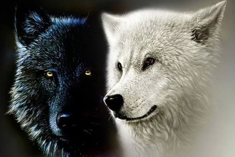 Two wolves representing light and shadow within the self