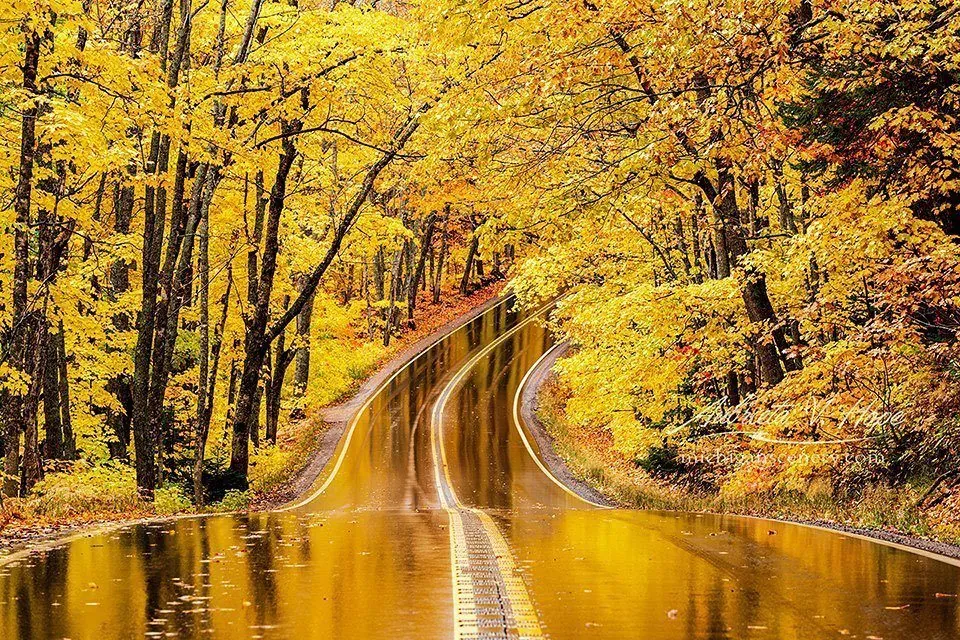 Rainy Autumn Psychic Journey in Michigan